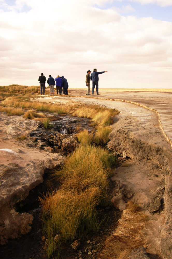 Mound Springs – Oodnadatta Track